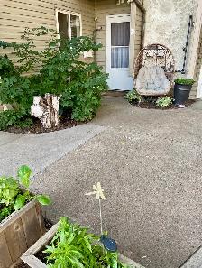 Furnished room for rent - Photo 7