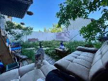 Furnished room for rent - Photo 8
