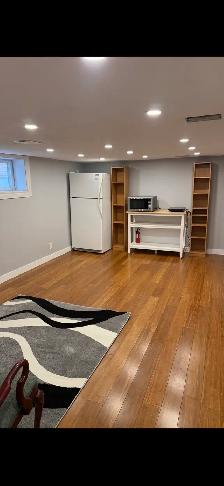 LARGE BASEMENT APARTMENT 1 BEDROOM - Photo 2