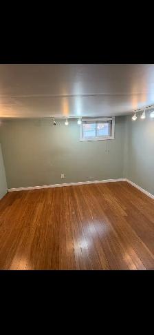 LARGE BASEMENT APARTMENT 1 BEDROOM - Photo 5