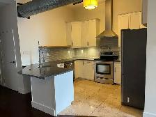 2bdr Warehouse Condo w/AC and 1 parking for rent-Sept 1 - Photo 7