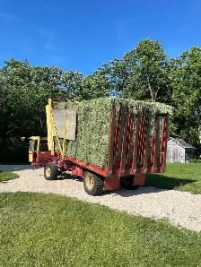 Hay for Sale-Horse Quality Small Squares - Photo 3