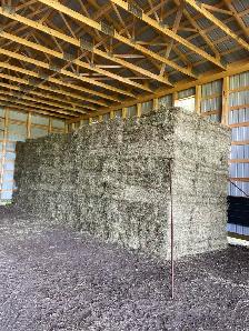 Hay for Sale-Horse Quality Small Squares - Photo 4