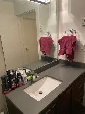 Bright & Spacious Room   Private Bath in North Burnaby $1,175 - Photo 4
