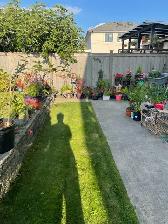 Bright & Spacious Room   Private Bath in North Burnaby $1,175 - Photo 6
