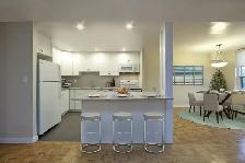 Stunning 3 Bedroom Apartment for Rent in Belleville!