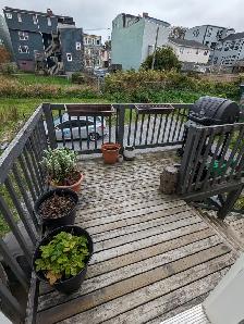 380 Union St #2 - 2BR Uptown, Bright, Hardwood Floors - Photo 5
