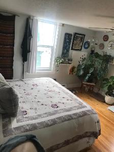 380 Union St #2 - 2BR Uptown, Bright, Hardwood Floors - Photo 6