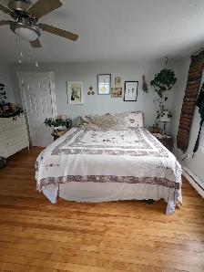 380 Union St #2 - 2BR Uptown, Bright, Hardwood Floors - Photo 7