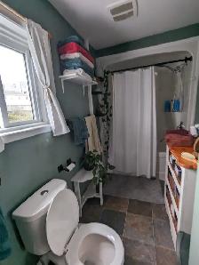 380 Union St #2 - 2BR Uptown, Bright, Hardwood Floors - Photo 9
