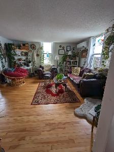 380 Union St #2 - 2BR Uptown, Bright, Hardwood Floors - Photo 17