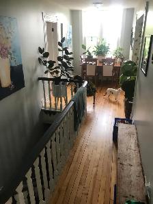 380 Union St #2 - 2BR Uptown, Bright, Hardwood Floors - Photo 18
