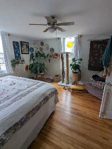 380 Union St #2 - 2BR Uptown, Bright, Hardwood Floors - Photo 19