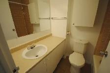 Bachelor/Studio, 1 Bathroom. Sept 1. Close to Tunney's Pasture. - Photo 3