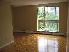 Bachelor/Studio, 1 Bathroom. Sept 1. Close to Tunney's Pasture. - Photo 4