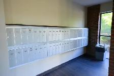 Bachelor/Studio, 1 Bathroom. Sept 1. Close to Tunney's Pasture. - Photo 5