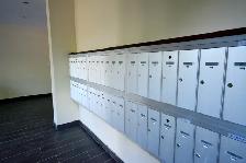 Bachelor/Studio, 1 Bathroom. Sept 1. Close to Tunney's Pasture. - Photo 7