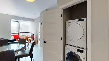 2 Bedroom Apartment | Downtown | Pet Friendly | Avail Oct 1st! - Photo 13