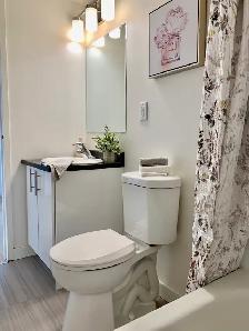 FORT HOWE/ BEAUTIFUL 2BD-  OCT 1ST -with view of the City! - Photo 7