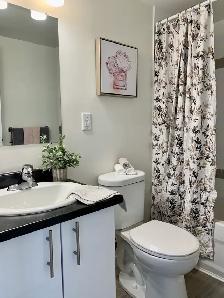 FORT HOWE/ BEAUTIFUL 2BD-  OCT 1ST -with view of the City! - Photo 8