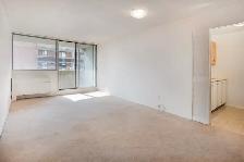 Centretown Nov.1st - 1  bedroom $1599