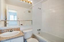 Centretown Nov.1st - 1  bedroom $1599 - Photo 4