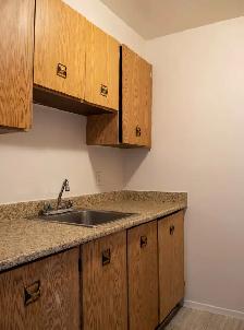 Centretown Nov.1st - 1  bedroom $1599 - Photo 5