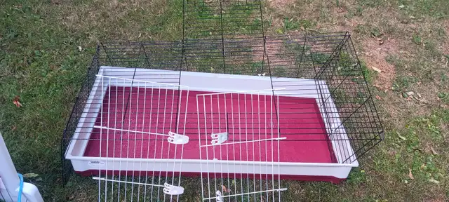 Rabbit stuff