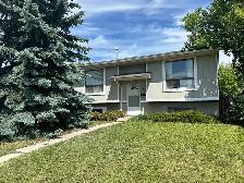 1BR - LEGAL, Affordable   Quality/near off leash dog park/Pet OK - Photo 2