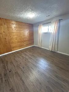1BR - LEGAL, Affordable   Quality/near off leash dog park/Pet OK - Photo 6
