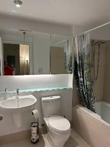 Downtown, fully furnished, Lowney, Griffintown, Condo - Photo 5