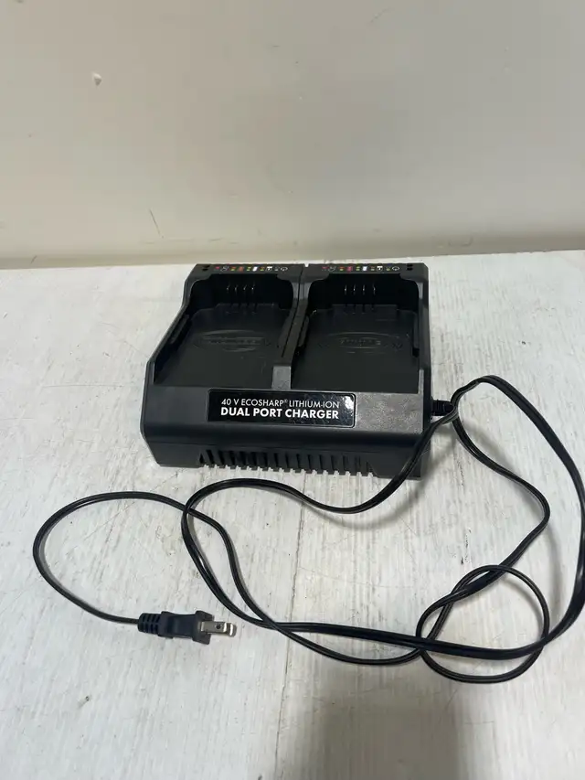 Snow Joe 40V EcoSharp Dual Port Charger