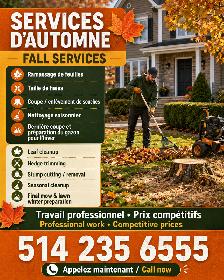 Nettoyage d’automne/Fall Yard Cleanup