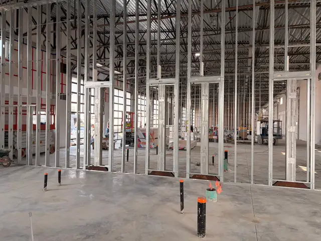 drywall / labourer