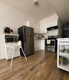 Bright 2-Bedroom Downtown Milverton Apartment - Photo 4