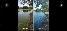 Aquatic Weed Removal & Shoreline Cleanup- Lake Pond Maintenance! - Photo 2