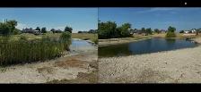 Aquatic Weed Removal & Shoreline Cleanup- Lake Pond Maintenance! - Photo 3