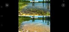 Aquatic Weed Removal & Shoreline Cleanup- Lake Pond Maintenance! - Photo 5