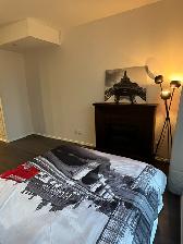 Studio  for rent in the heart of downtown Toronto - Photo 6