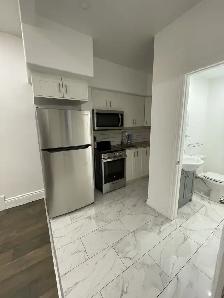 Fully Renovated Bachelor -Centretown- Available October 1st!