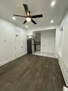 Fully Renovated Bachelor -Centretown- Available October 1st! - Photo 2