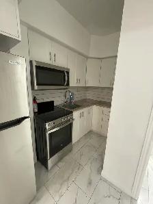 Fully Renovated Bachelor -Centretown- Available October 1st! - Photo 4