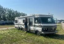 Mature Male Seeks Spot to Rent on Acreage - Photo 2