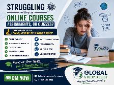 University Course Support Canvas Pearson MyLab Brithspace All A