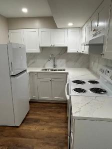 Newly Renod 3BR basmnt-new kitchen/bath/floors fenced yrd/Pet OK