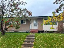 Newly Renod 3BR basmnt-new kitchen/bath/floors fenced yrd/Pet OK - Photo 2