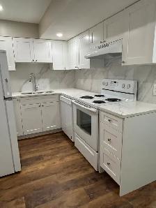 Newly Renod 3BR basmnt-new kitchen/bath/floors fenced yrd/Pet OK - Photo 3
