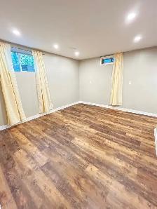 Newly Renod 3BR basmnt-new kitchen/bath/floors fenced yrd/Pet OK - Photo 4