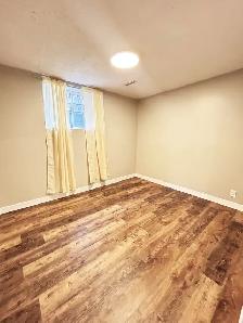 Newly Renod 3BR basmnt-new kitchen/bath/floors fenced yrd/Pet OK - Photo 5