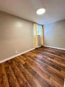 Newly Renod 3BR basmnt-new kitchen/bath/floors fenced yrd/Pet OK - Photo 7